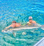 Tarpon